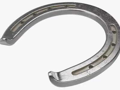 Horseshoe 2 Textured 3D model