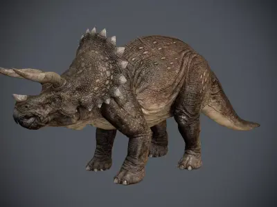 Triceratops dinosaur 3D model 2