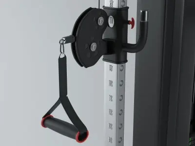Freemotion Instinct Dual Pulley 3D model