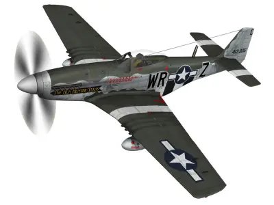 North American P-51D - The Hun Hunter Texas  3D model