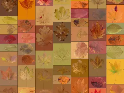  Autumn Leaves (Scatterable) 