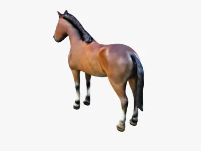 Horse Free 3D model purchase