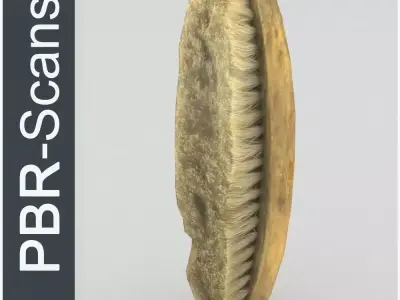 Brush Low Poly hair Low-poly 3D model