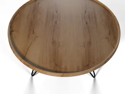 Circle Table 3D model