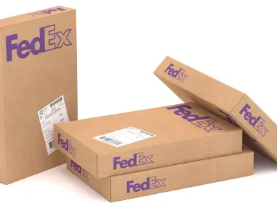 Cardboard Packaging Box Fedex 3D model