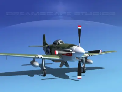 P-51D Mustang Texas Terror IV 3D model