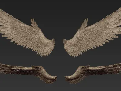 Wings 2 Zbrush Sculpt 3D model