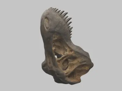 Old Damaged Stone Fossil Skull Trex Low-poly 3D model