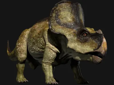Protoceratops 3D (Rigged) 3D model