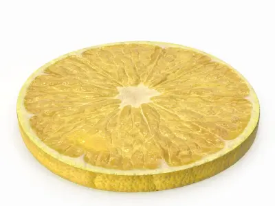  Lemon Slice(1) 