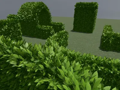 Hedge Low-poly 3D model