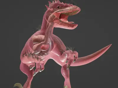 Male velociraptor 3D model