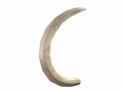 Boar Tusk - Game Ready Low-poly 3D model