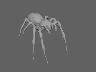 Spider 3D model 20