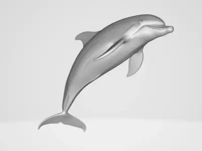 Dolphin 3D model purchase
