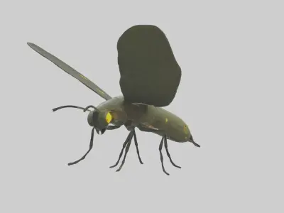 Firefly Model Low-poly 3D model
