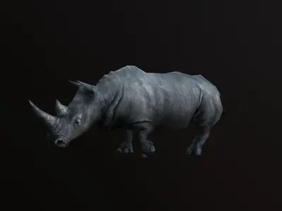 low-poly animated rhinoceros rhino Low-poly 3D model