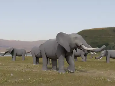 Elephant Low-poly 3D model buy
