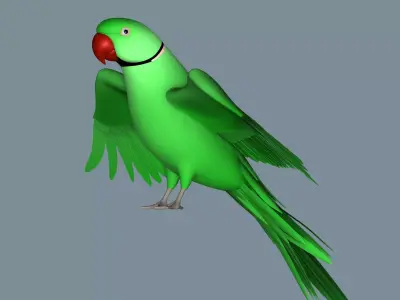 Parrot 3D model buy