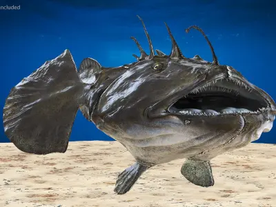 Angler Rigged for Maya 3D model