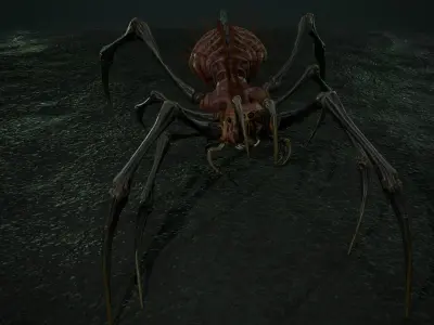 Spider 5 with long legs Low-poly 3D model