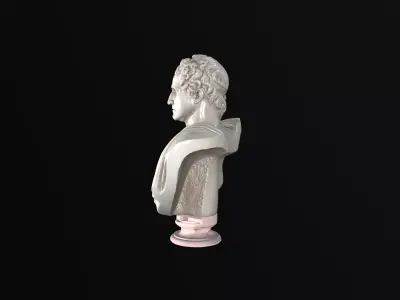 Imperial Roman Bust Collection - High Detail 3D Sculpture 3D model