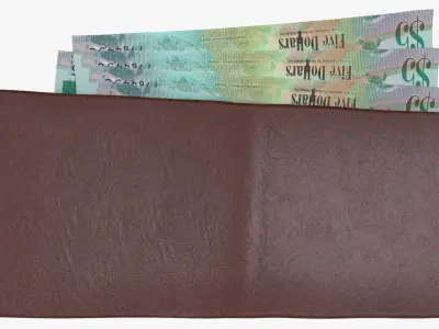 Cayman Islands British 5 Dollar Wallet Money Purse 3D model