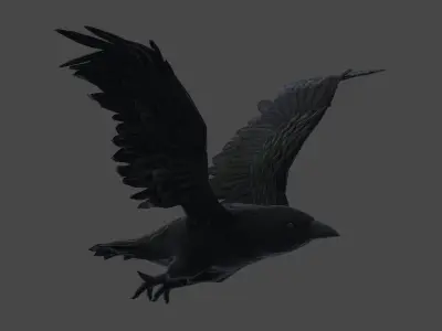 3D Animate Crow Low-poly 3D model