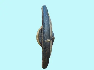 Medieval Knights Shield - Historical 3D model
