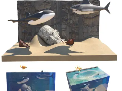 shark Low-poly 3D model 49