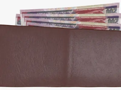 Egypt 200 Pounds Wallet Money Purse 3D model
