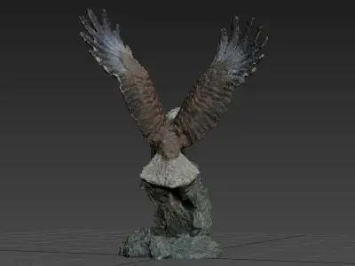 Eagle Scanned Free 3D model