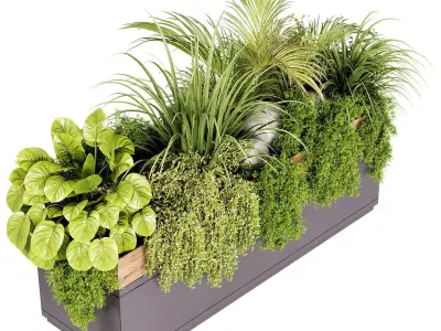 Indoor plant- 20 metall  and wooden in box on stand 3D model