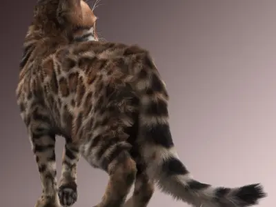 Bengal cat(2)(FUR)(ANIMATED) 3D model