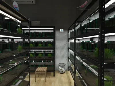 Shrimp room Aquarium 3D model