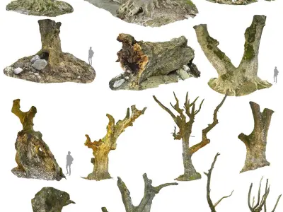  Ancient Forest Pack 16K 