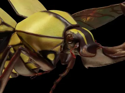 Flower beetle 3D print model