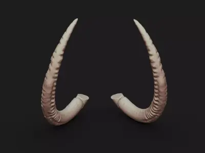Tusks 3D print model