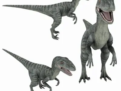 Velociraptor t - rex 3D model