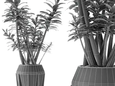 Plant in Pot Flowerpot Exotic Plant 3D model