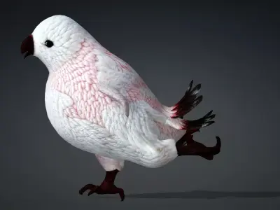 Bird Cute A3 Free 3D model