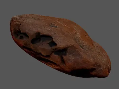 Amber 3d scan Low-poly 3D model