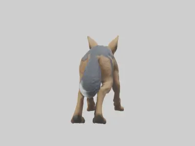 Jackal prowling model Low-poly 3D model