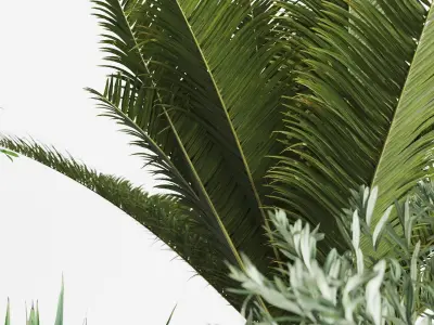 Set Mediterranean Plants In Antique Pots 3D model