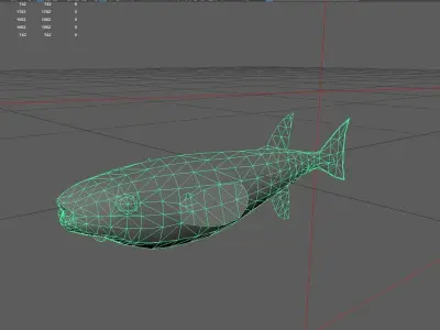Filefish Low-poly 3D model 5