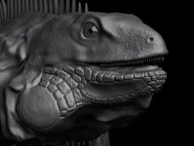 iguana Free 3D model buy