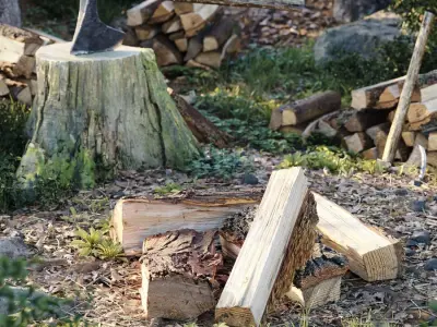 Split Deciduous Firewood Models Collection 