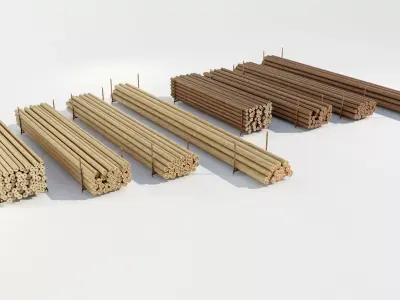 Wooden Utility Poles 3D model