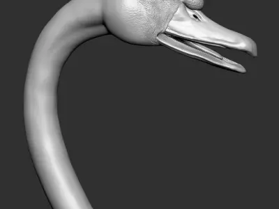 Swan VFX Zbrush Sculpture digitale 