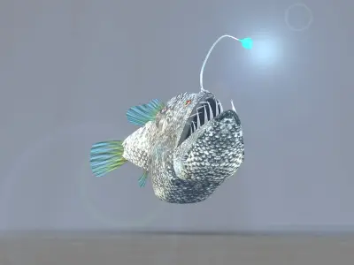 peixe lanterna 3D model